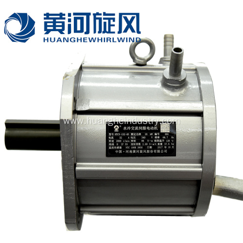 Electric-starting Permanent Magnet Synchronous Motor